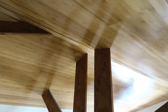 ceiling-6.jpg